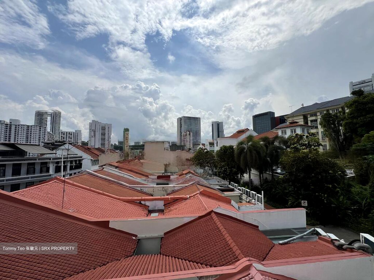 Telok Ayer Conservation Area (D1), Shop House #480149911